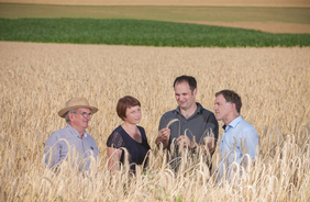 Bio-Getreidefeld mit Personen Die Bio-Mühle aus Landshut setzt auf regionalen Bio-Anbau
