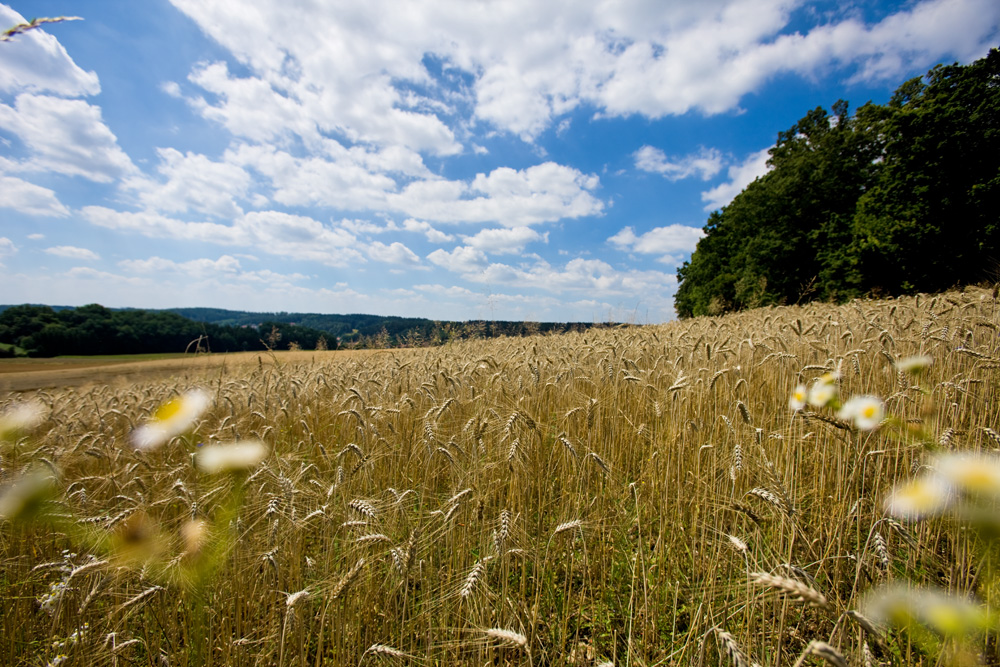 Wir sind Teil der Öko-Modellregion Landshut