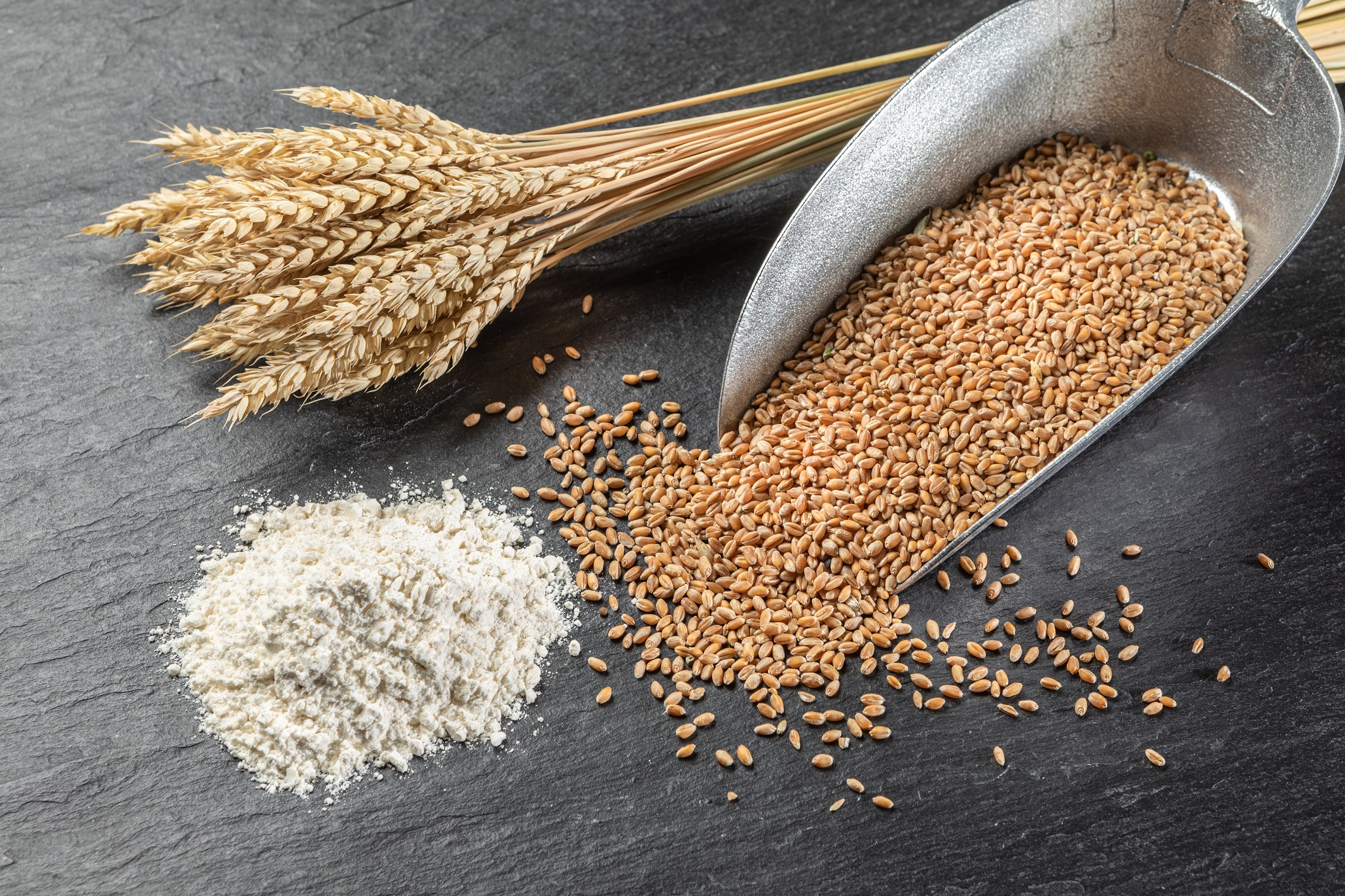 Bio-Premium® wheat products
